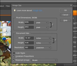 how to crop out an image in adobe photoshop 2017