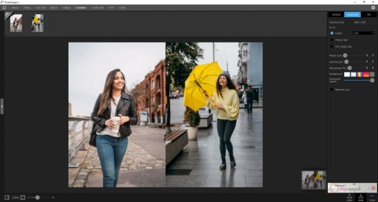 top-5-easiest-free-photo-editing-software-inpixio